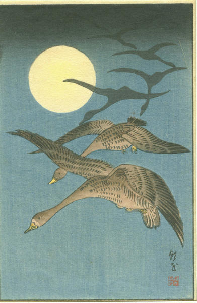 Ducks Flying