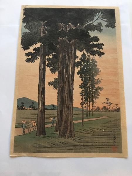 Pilgrims and Pine Trees