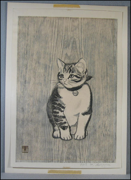 Cat- Kitten