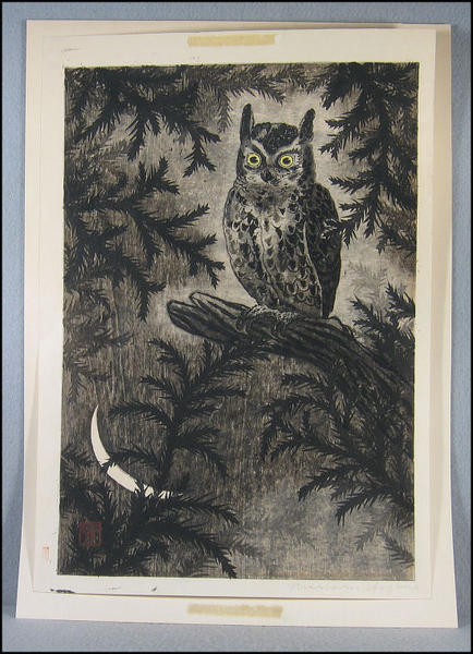 Owl and Moon