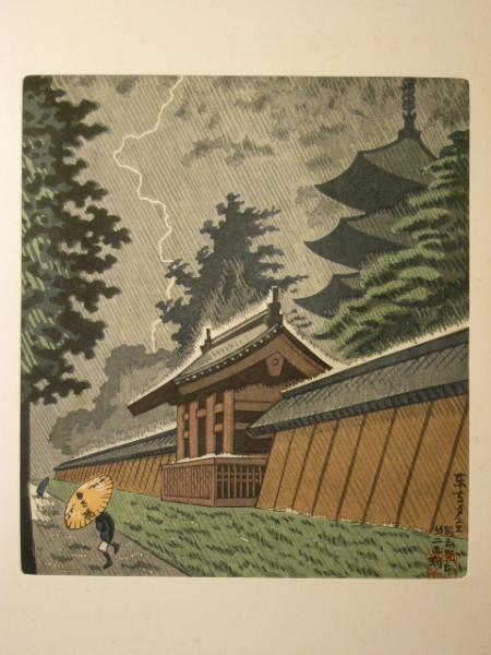 Sudden Shower