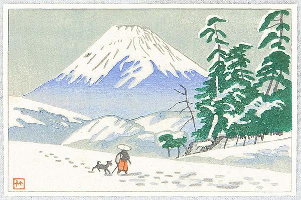 Mt Fuji and Traveller