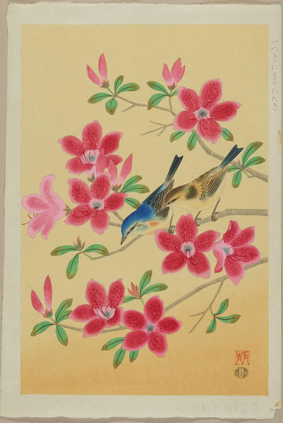 Anteater and Azalea