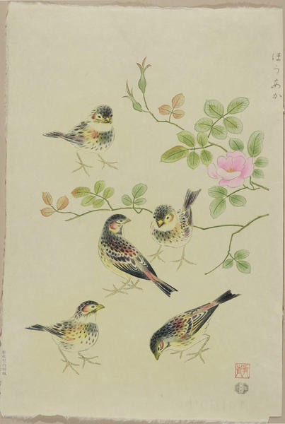 Hoaka and Rose