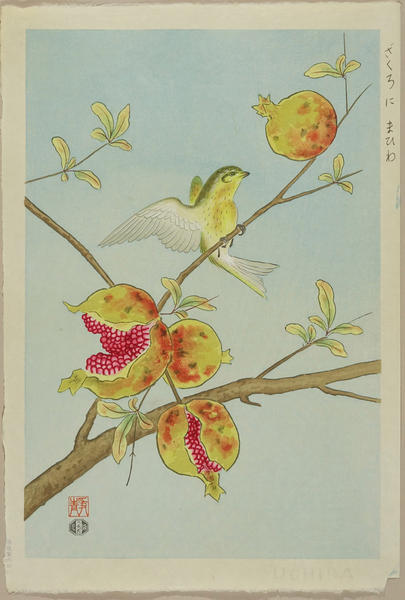 Siskin and Pomegranate
