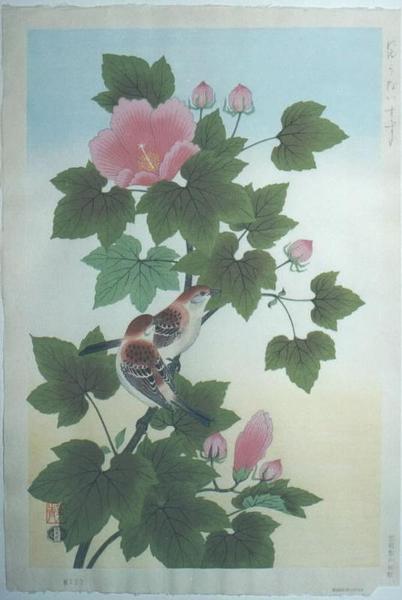Sparrow and hibiscus mutabilis