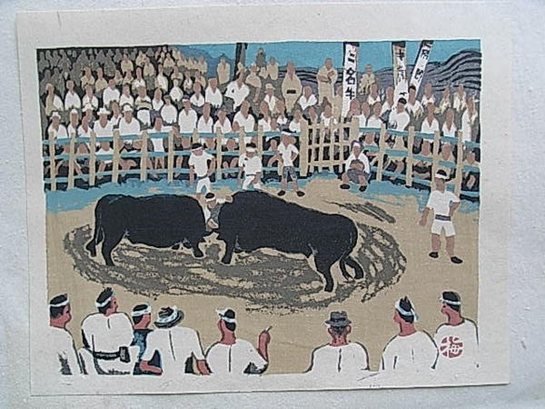 Fighting Bulls in Iyo
