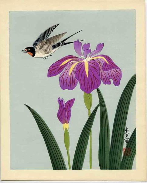 Bird and Flower 4