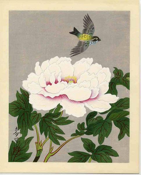 Bird and Flower 5