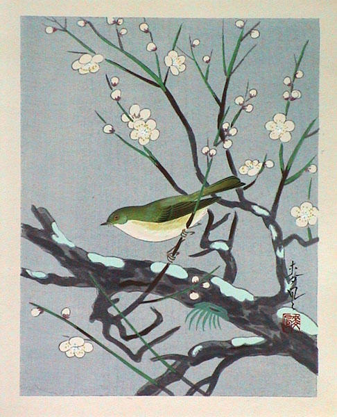 Unknown, bird, spring