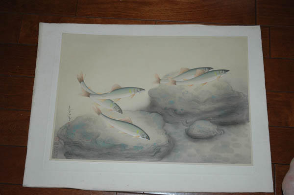 Sweetfish (Ayu)