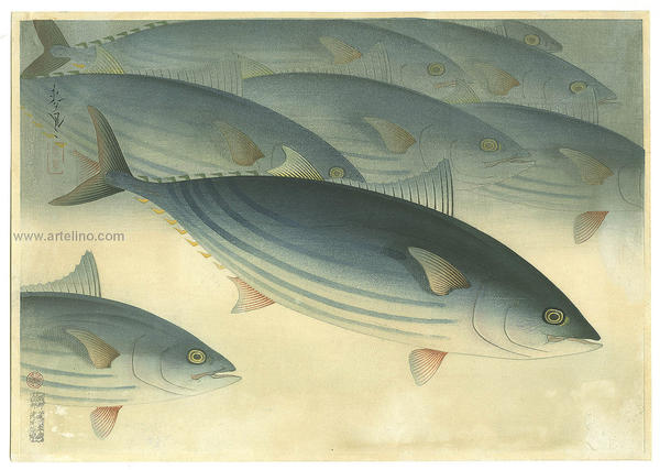 Bonito