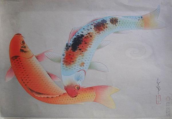 Brocade Carp- Higoi