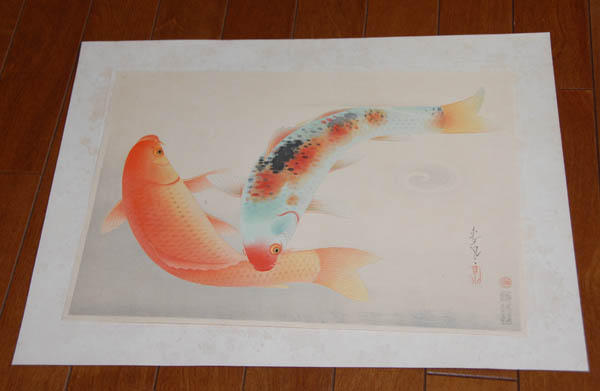 Brocade Carp- Higoi