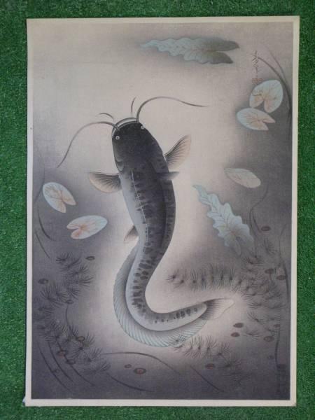 Catfish (Namazu)