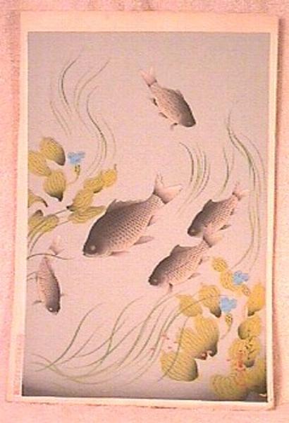 Crucian Carp