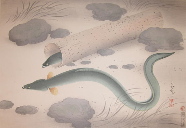 Eel