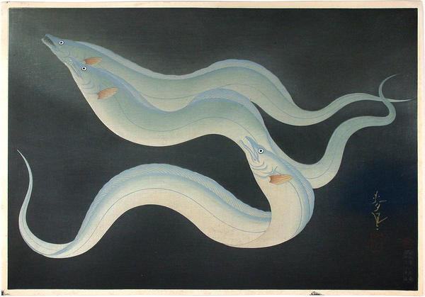 Eel