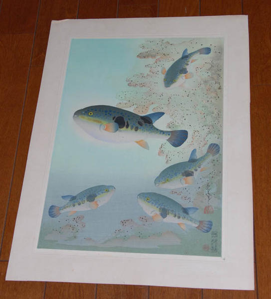 Tiger Puffer (Fugu)