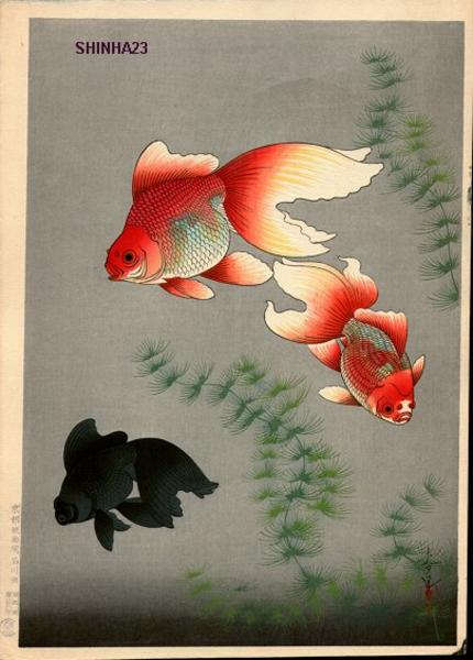 Goldfish
