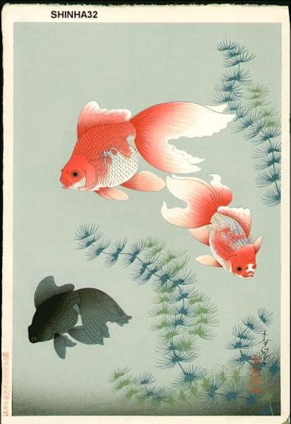 Goldfish