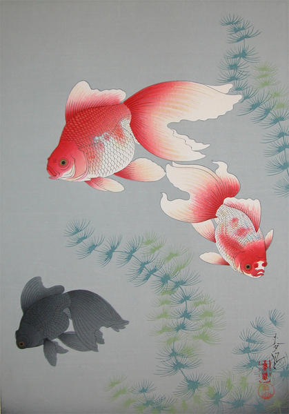 Goldfish