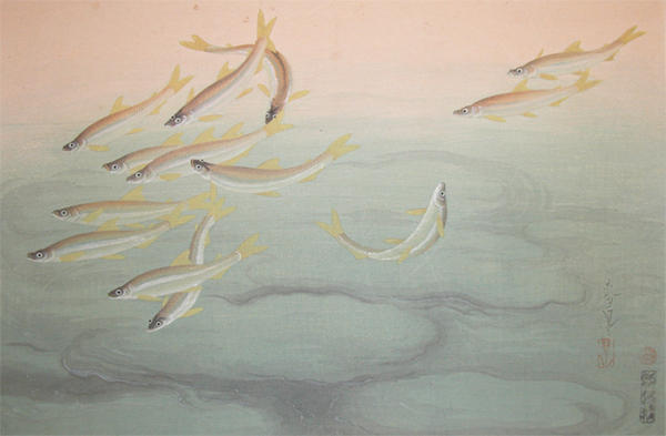 Japanese Smelt (Wakasagi)