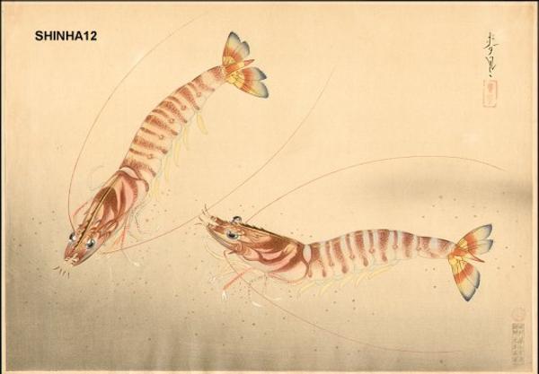 Shrimps (Kuruma Ebi)