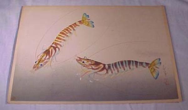 Shrimps (Kuruma Ebi)