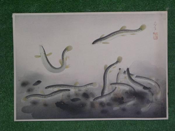 Loach