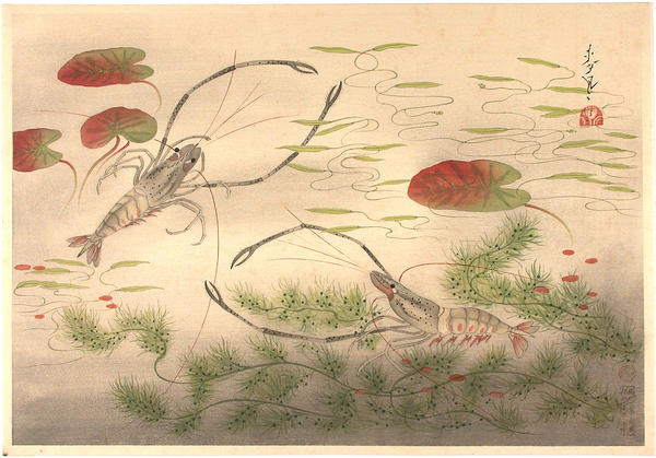 Long Clawed Shrimp