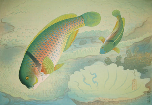 Wrasse