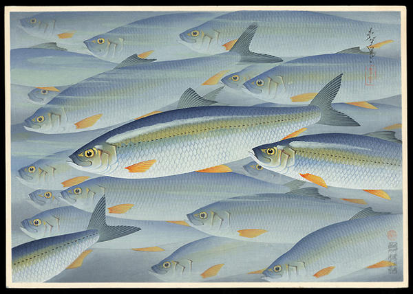 Herrings (Nishin)