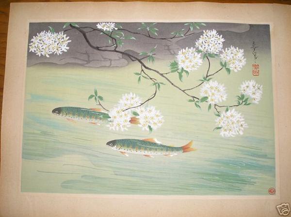 Rainbow Trout - Landlocked Salmon