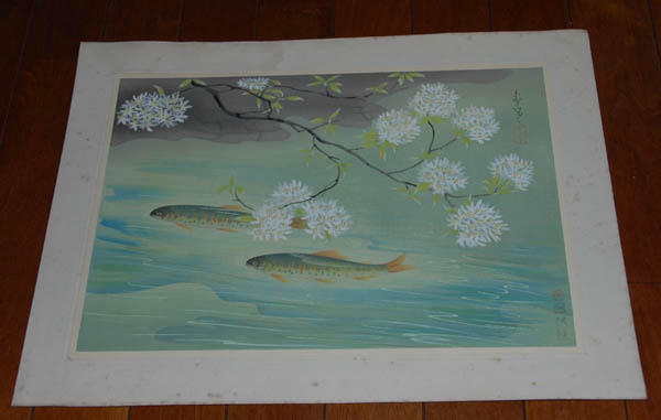 Rainbow Trout - Landlocked Salmon