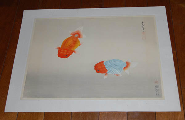 Ranchu Goldfish