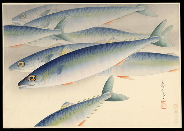 Mackerel (Saba)