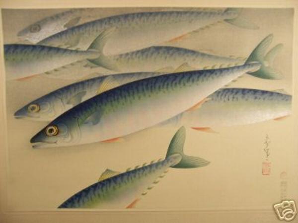 Mackerel (Saba)