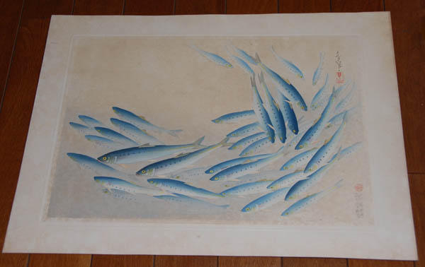 Sardine- Pilchard- Maiwashi