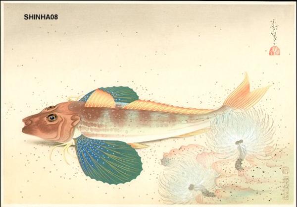 Gurnard (Hobo)