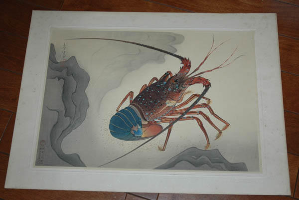 Spiny Lobster
