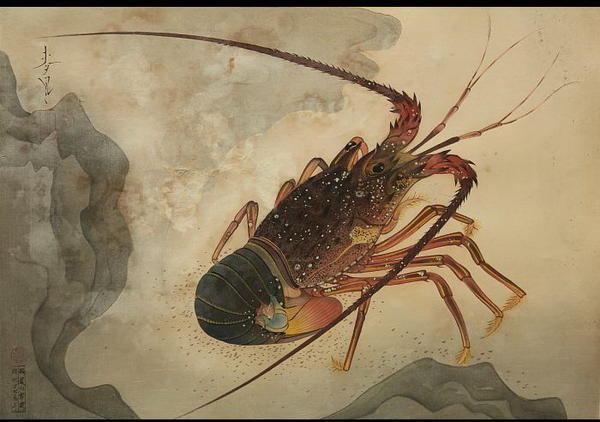 Spiny Lobster