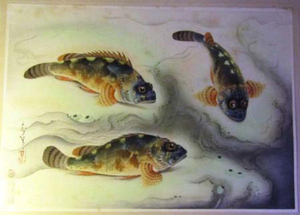Scorpion Fish (Kasago)