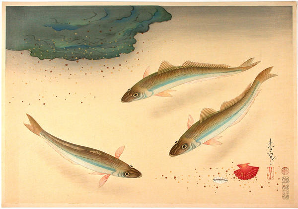 Smelt-Whiting