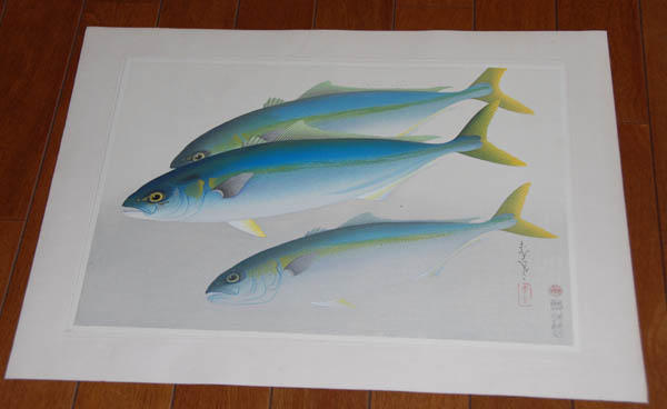 Young Yellowtail (Hamachi)