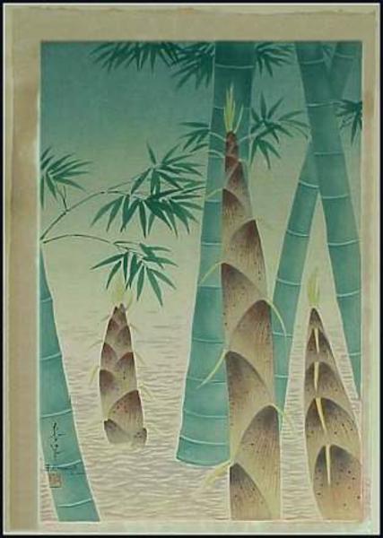 Bamboo
