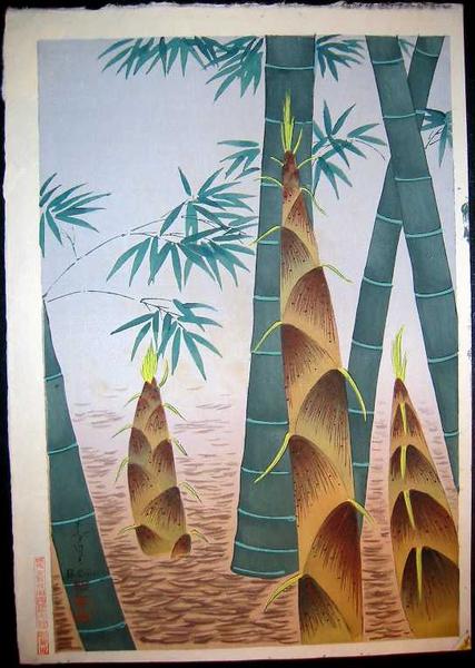 Bamboo