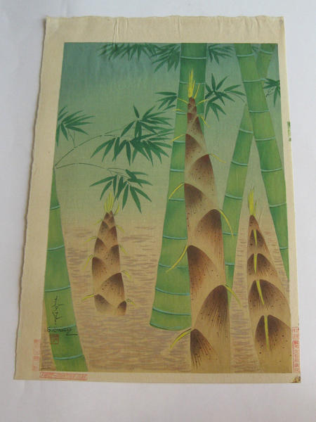 Bamboo