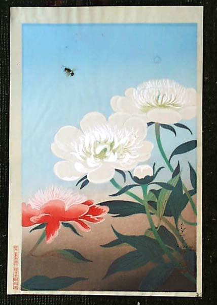 Chinese Peony and Bee