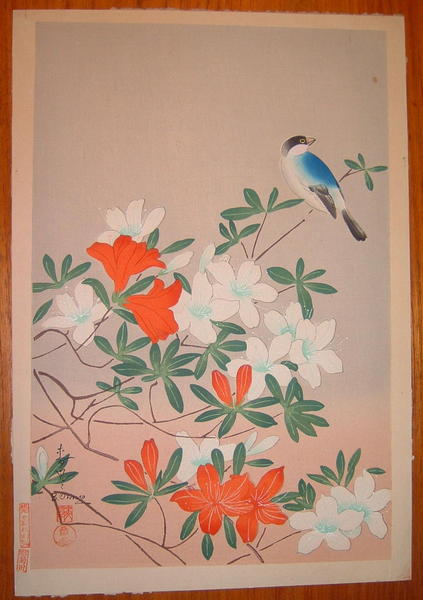 Bird and Azalia